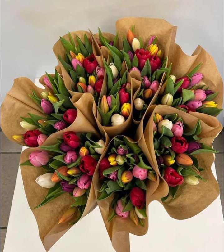 Min Købmand Øster Bjerregrav lokker med tilbud på tulipaner i Tivoli-farver