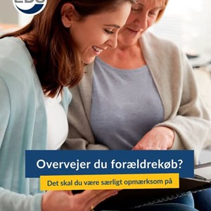 Opslagsbillede