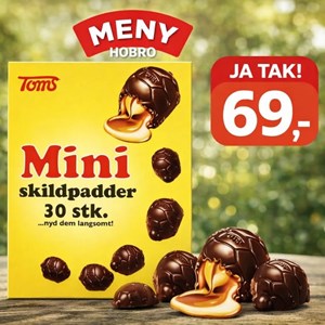 Opslagsbillede