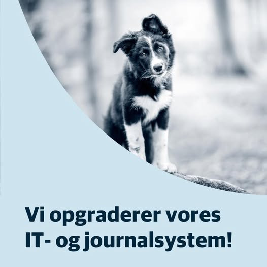 AniCura Dyrehospitalet City Syd holder lukket i dag på grund af skift til nyt IT-system