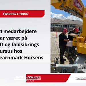 Opslagsbillede