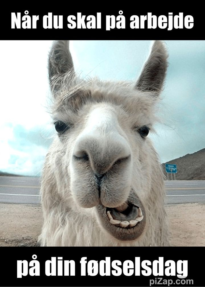 Se dagens updates fra Viborg her