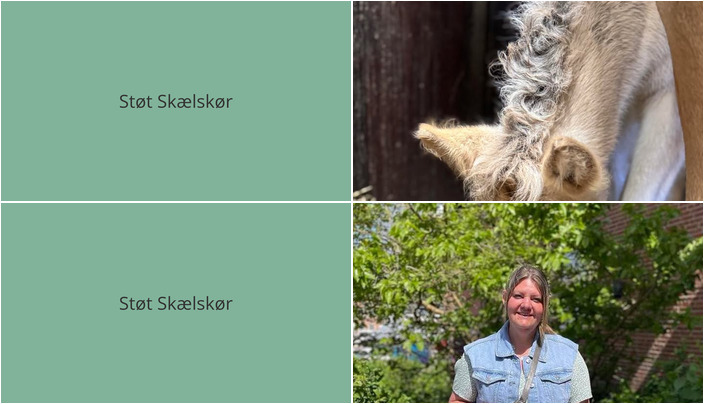 Nyt fra Only Curves og Butik Mille