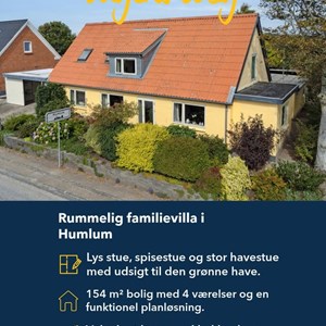 Opslagsbillede