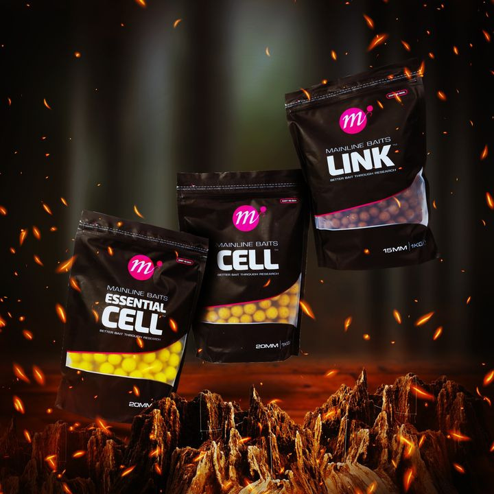 Opdatér dig her: Det nyeste fra Vejle