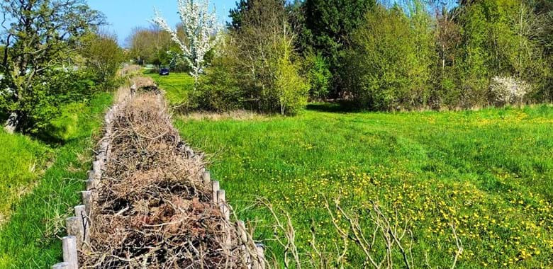 Renosyd vinder Dansk Affaldsforenings Verdensmålspris 2023