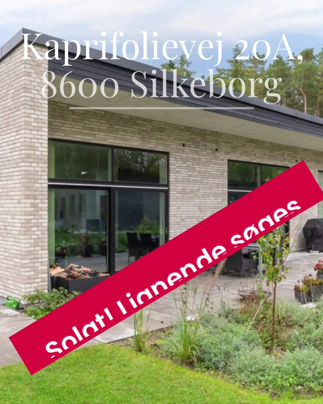 Opslagstavlen: Nyeste opdateringer fra Silkeborg