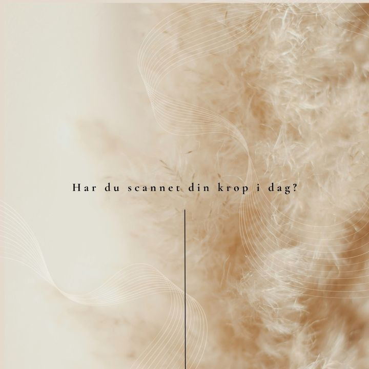 Det nyeste på Rys opslagstavle