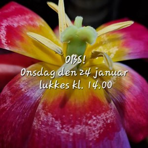 Opslagsbillede