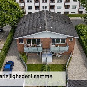 Opslagsbillede
