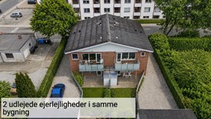 opslagsbillede