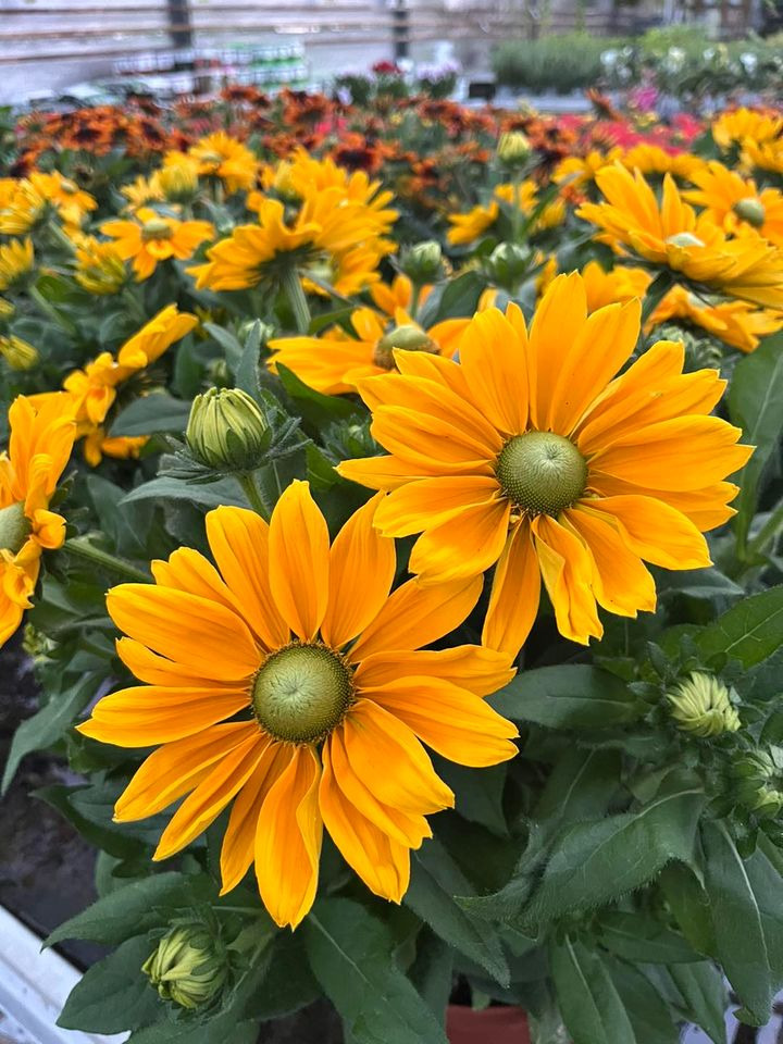 Det nyeste på Odders opslagstavle