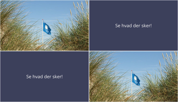 Udforsk fjordens liv eller dyk med snorkel ved Udbyhøj – Kommende arrangementer i Havndal