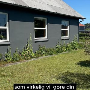 Opslagsbillede