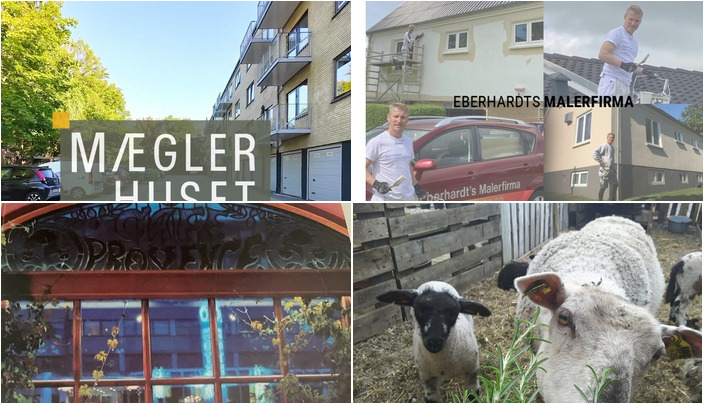 Nyt fra GUG ANLÆG OG PLANTESKOLE A/S, Wandmose Køreskole, Mæglerhuset Aalborg og 1 anden