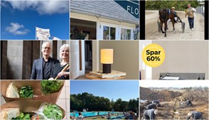 Nyt fra Mejrup Kultur- og Fritidscenter, MIN KØBMAND I ASP, COMBI FRISØREN og 10 andre