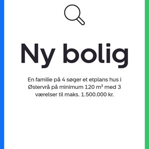 Opslagsbillede