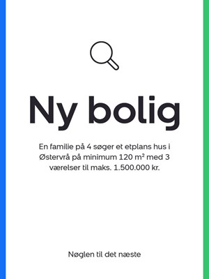 opslagsbillede