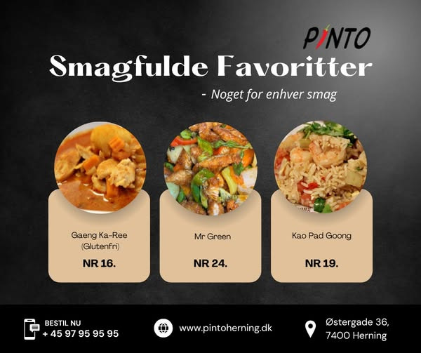 Pinto Thai Take Away tilbyder autentiske thailandske smage med friske ingredienser