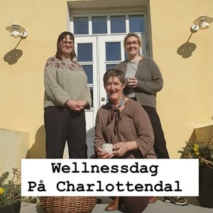 Opslagsbillede