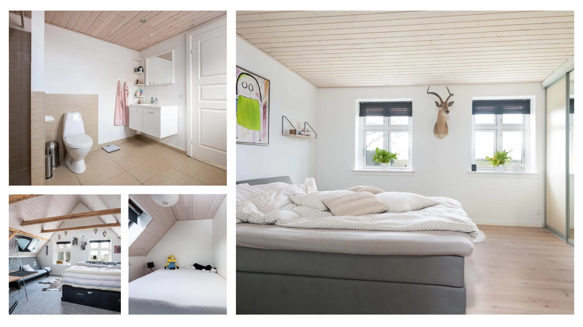 Opdatér dig her: Det nyeste fra Tårs