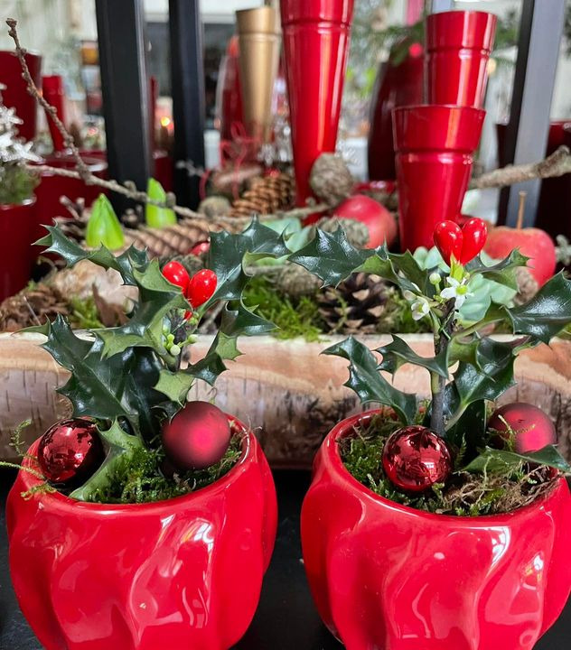 Opslagstavlen: Nyeste opdateringer fra Roslev