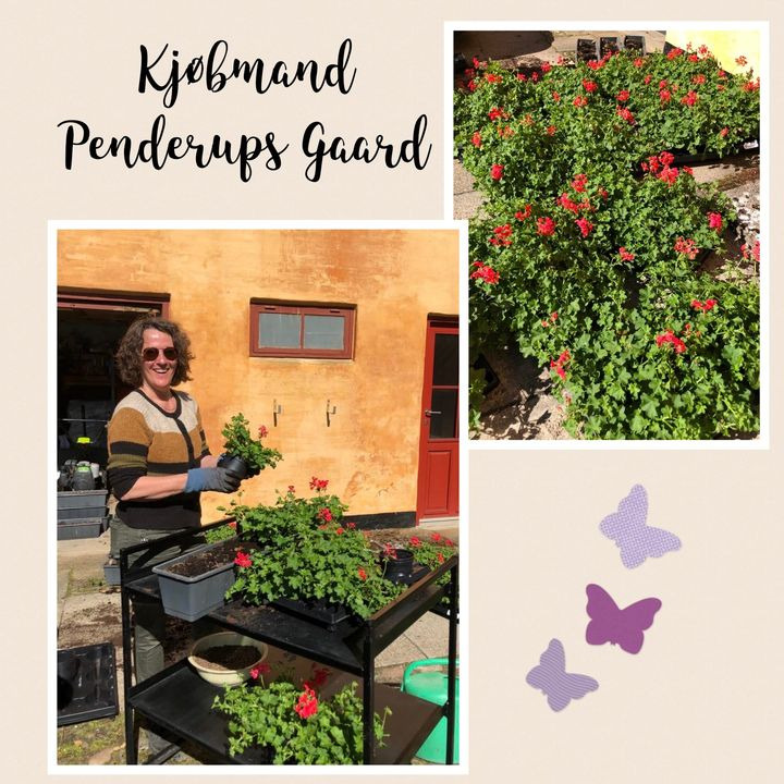 Det nyeste på Hjørrings opslagstavle