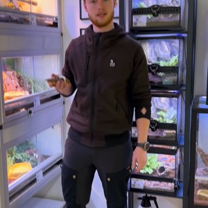 Opslagsbillede