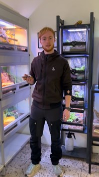 Opslagsbillede