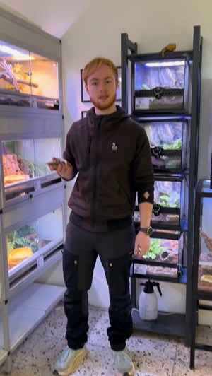 opslagsbillede