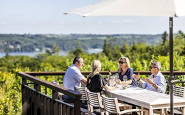 På Munkebjerg Hotel svæver du tæt på trætoppe og fuglene ved fjorden