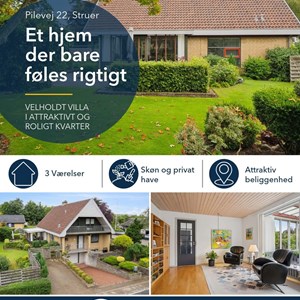 Opslagsbillede