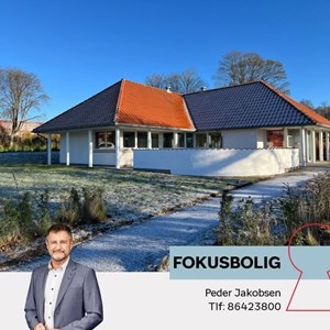 Opslagsbillede