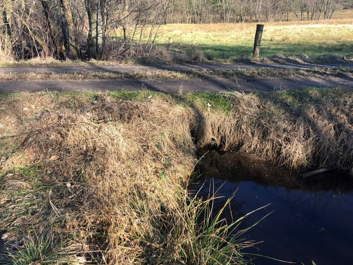 Hold trit med lokalområdet: Nyt fra Hammel