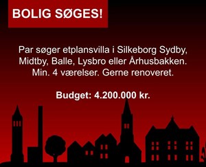 opslagsbillede