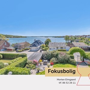 Opslagsbillede