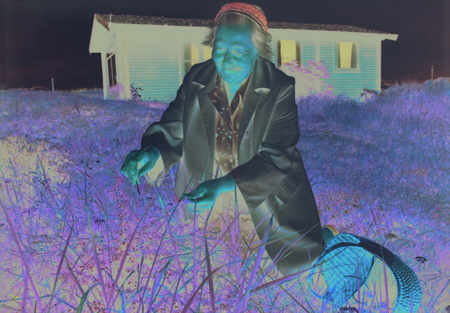 Fejr Signe Hansens 125-års fødselsdag med travetur og bjesk i Hirtshals