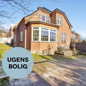 Opslagsbillede