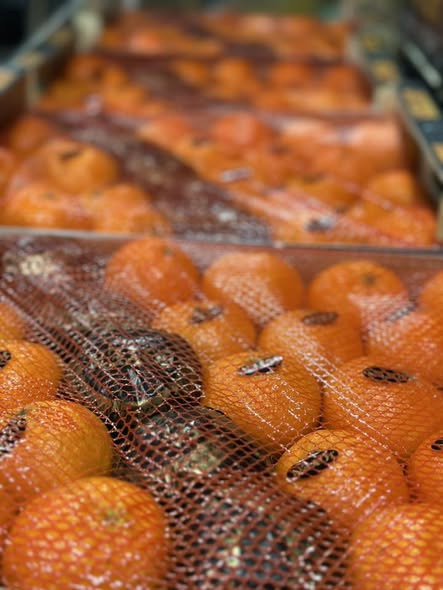 Midtjysk Gartnerhal annoncerer tilbagekomsten af JOYEN clementiner