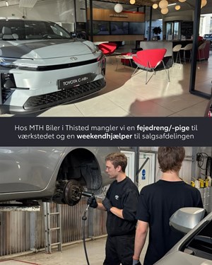 opslagsbillede