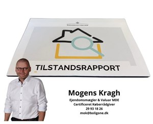 opslagsbillede