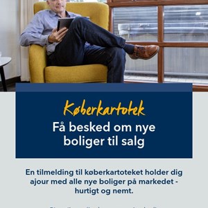 Opslagsbillede