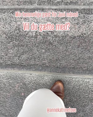 opslagsbillede