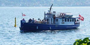 Oplev hvalsafari i Middelfart: En weekend fyldt med eventyr