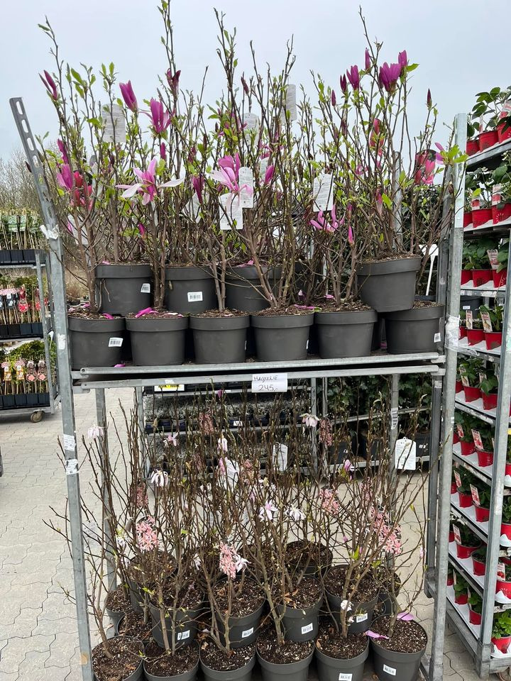 Det nyeste på Hedensteds opslagstavle