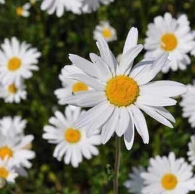 Se dagens updates fra Hobro her