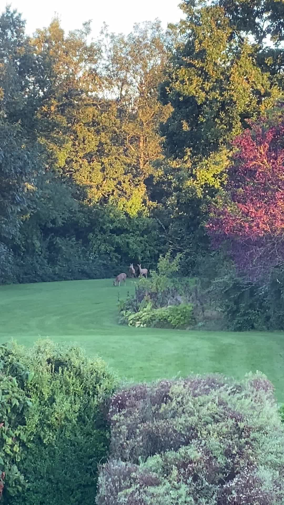 Se dagens updates fra Aalestrup her