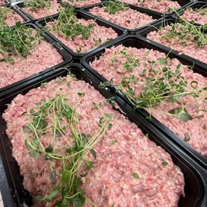 Opslagsbillede