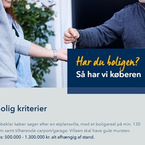 Opslagsbillede