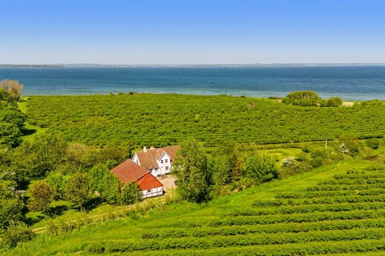 Er Klavsebøllevej 17, Klavsebølle i Langeland kommune drømmehjemmet? Se de dyreste boliger til salg nu for op til 4,0  mio. kroner